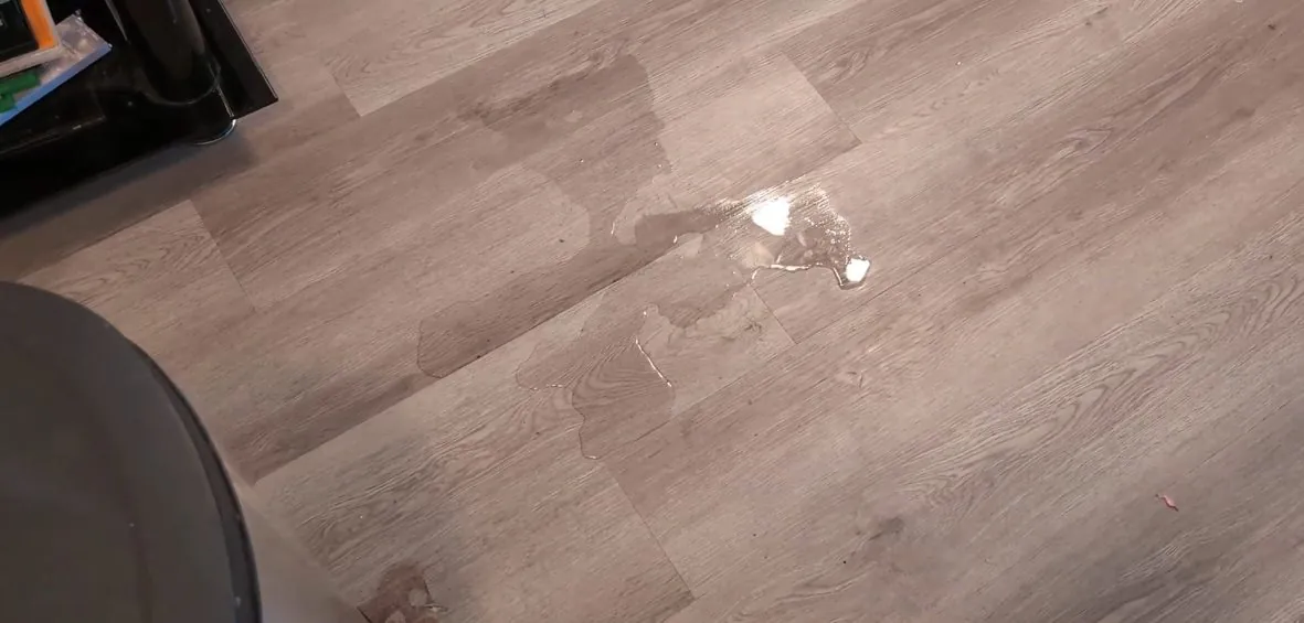Small puddle and dark wet patch spreading across a plank floor